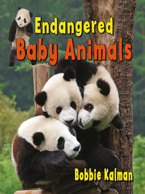Endangered Baby Animals - ebook